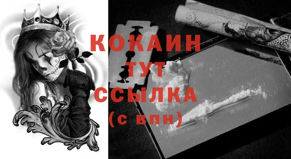 СК Белокуриха
