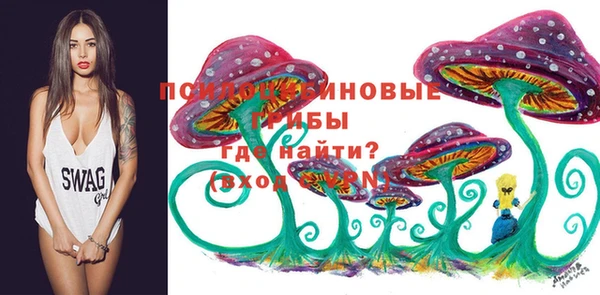 ПСИЛОЦИБИНОВЫЕ ГРИБЫ Белоозёрский
