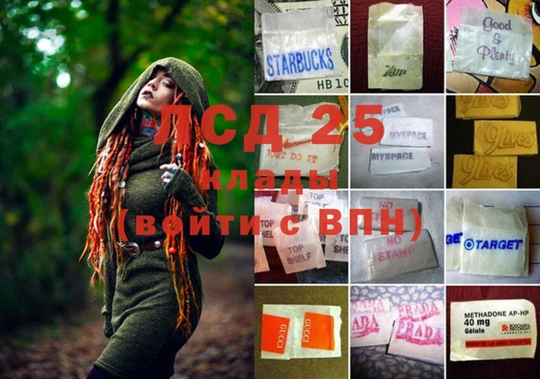 СК Белокуриха