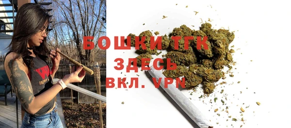 ПСИЛОЦИБИНОВЫЕ ГРИБЫ Белоозёрский