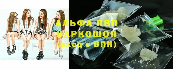 ПСИЛОЦИБИНОВЫЕ ГРИБЫ Белоозёрский
